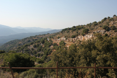 photo 163475