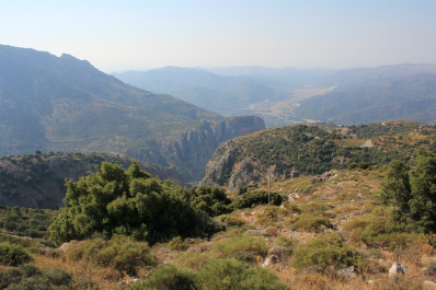 photo 163482