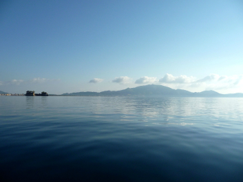 photo 683527