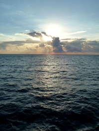 photo 667013
