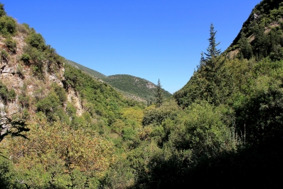 photo 896539