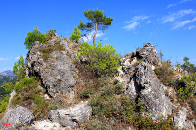 photo 1147165