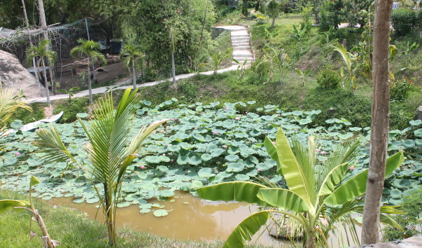 55cf520434dd0.jpg