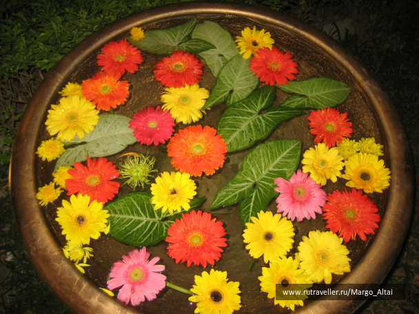 photo 471432