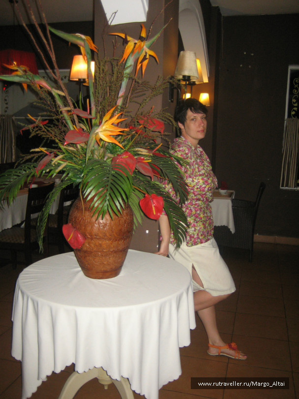 photo 471548