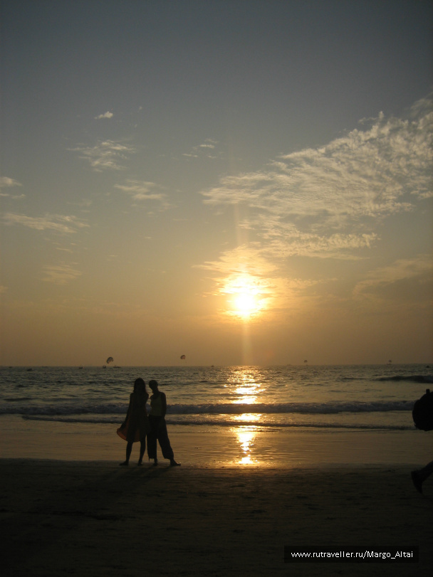 photo 261073