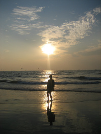 photo 262386