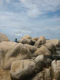 photo 261283