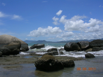 photo 283491