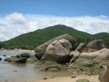 photo 477512