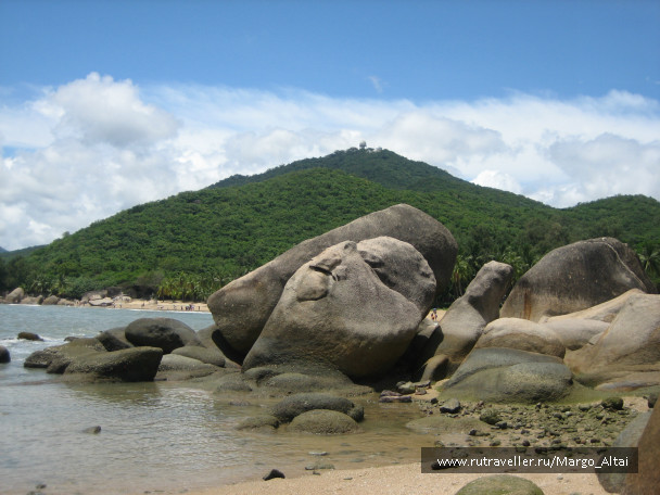 photo 477512
