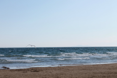 photo 399971