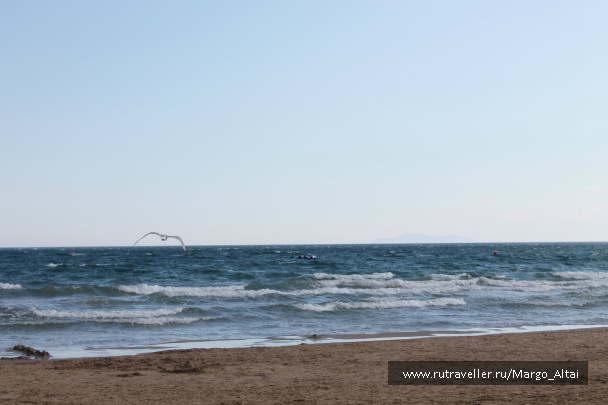 photo 399971