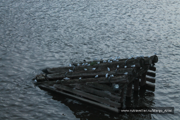 photo 533687