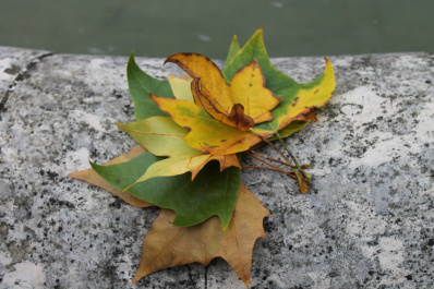 photo 533803