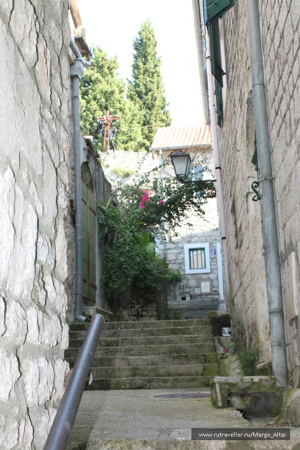 photo 877083