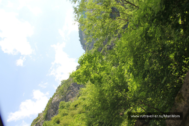 photo 119010