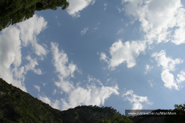 photo 119012