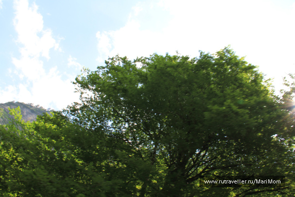 photo 119015