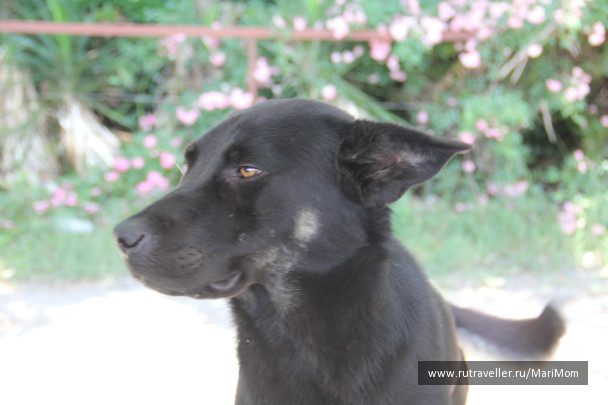 photo 119051