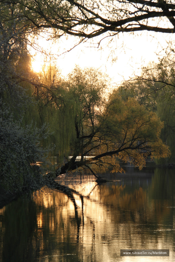 photo 125233