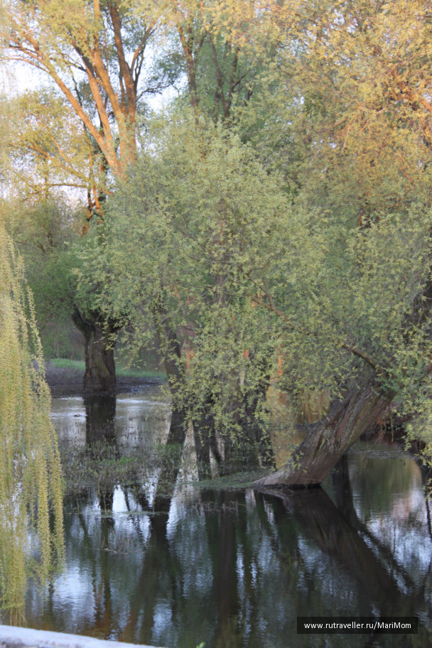 photo 125234