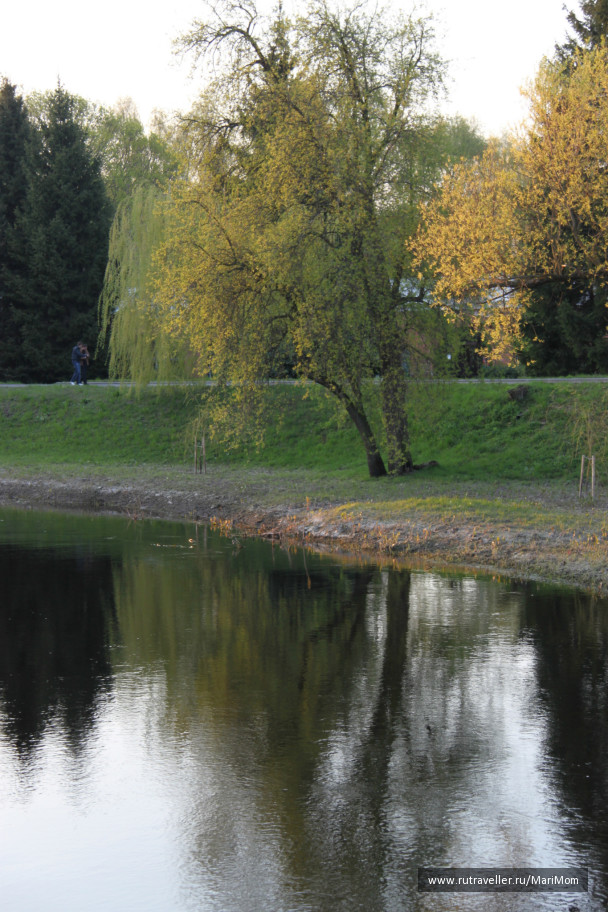 photo 125236