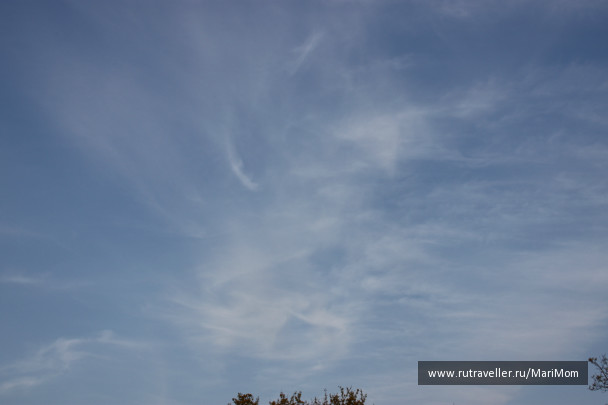 photo 125262