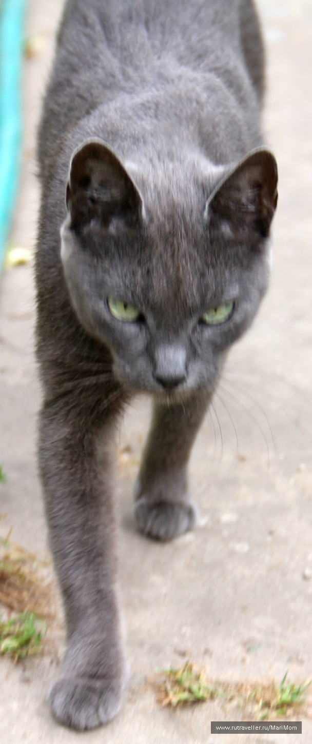 photo 127297