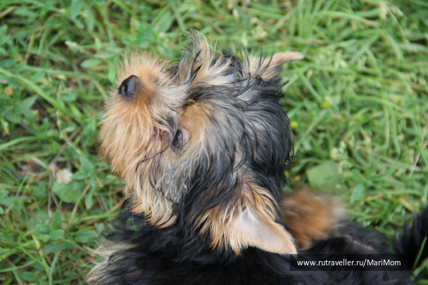photo 127298