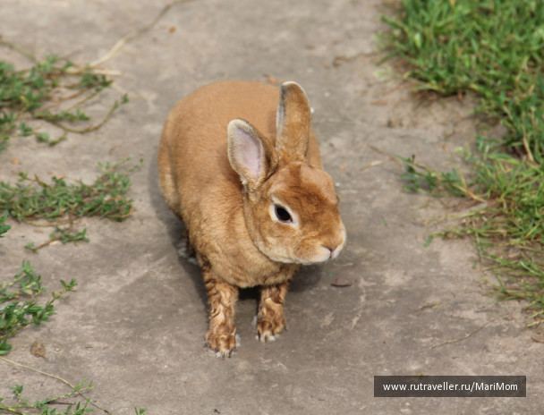 photo 127299