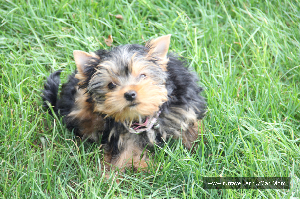 photo 127306