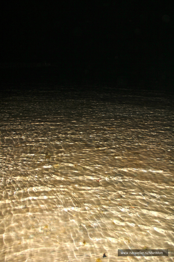 photo 142609