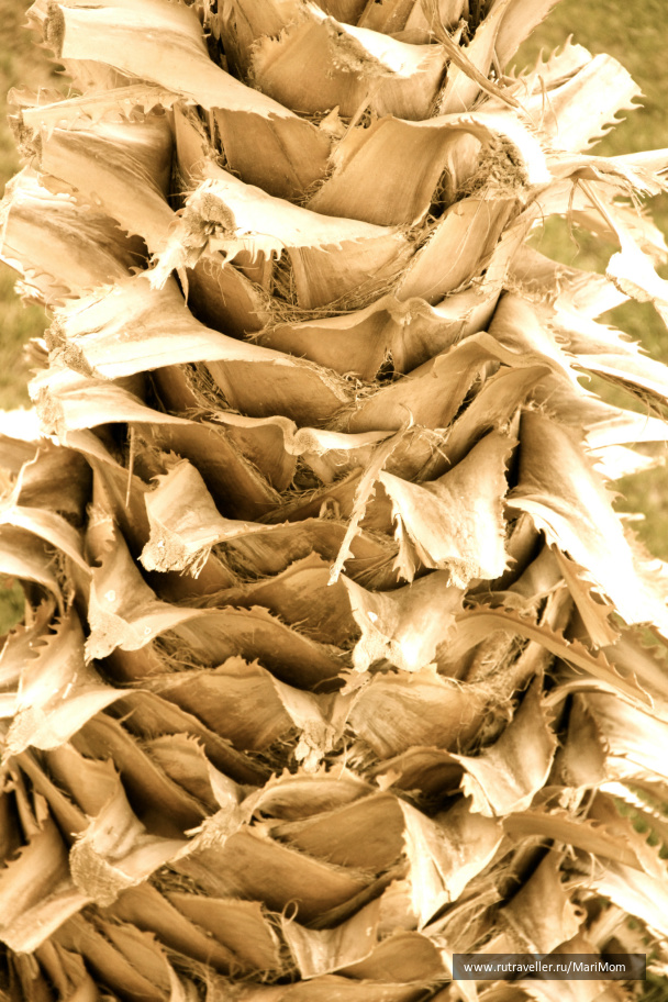 photo 142615