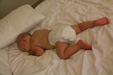 photo 144405