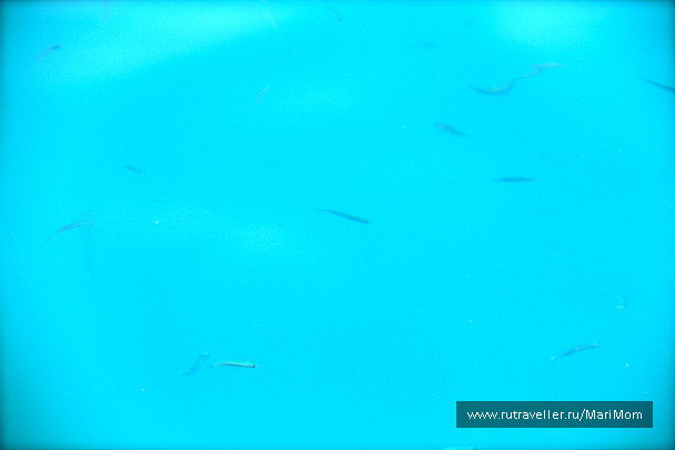 photo 150591