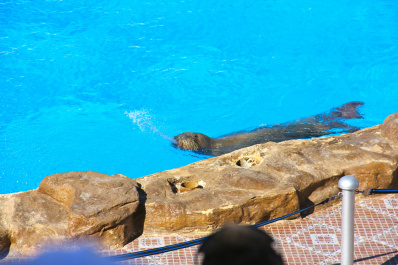 photo 167688