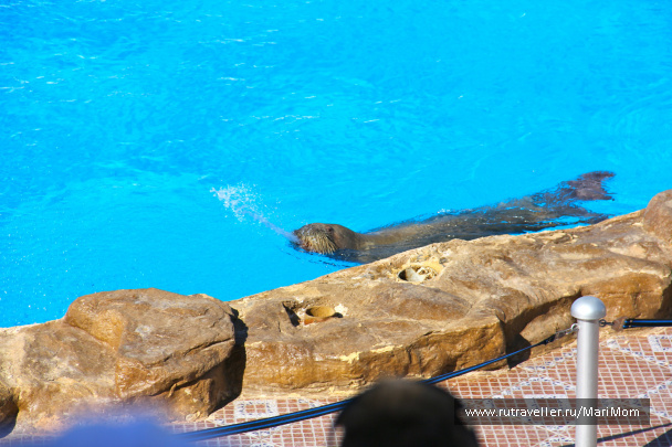 photo 167688