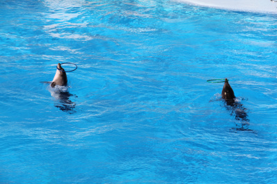 photo 169478