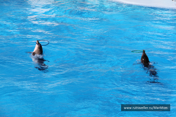photo 169478