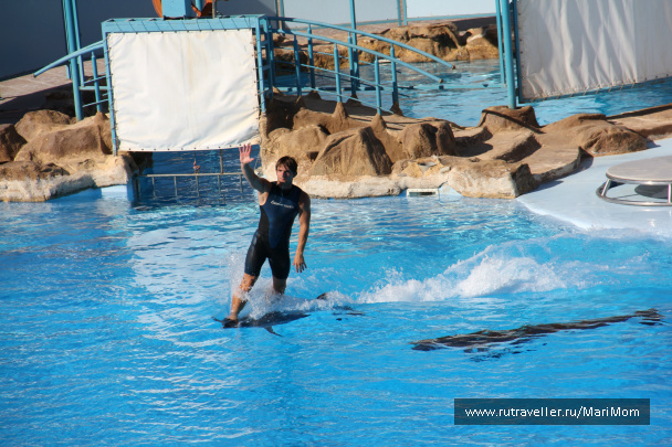 photo 169480
