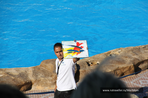 photo 169481