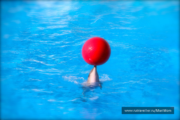 photo 169485