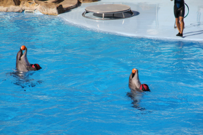 photo 169486