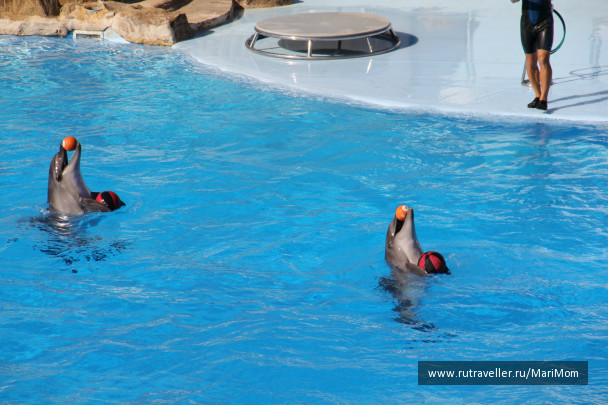 photo 169486