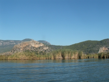 photo 739663