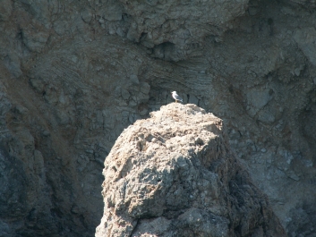 photo 740683