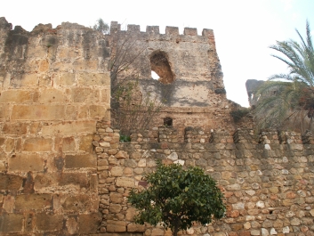 photo 979865