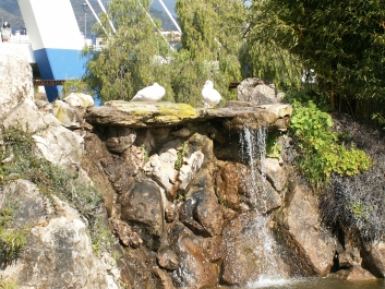 photo 979884