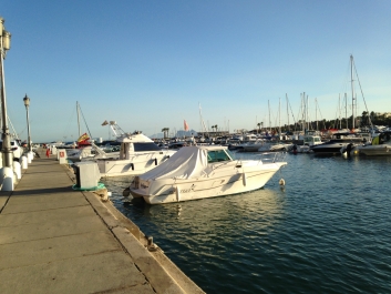 photo 838135